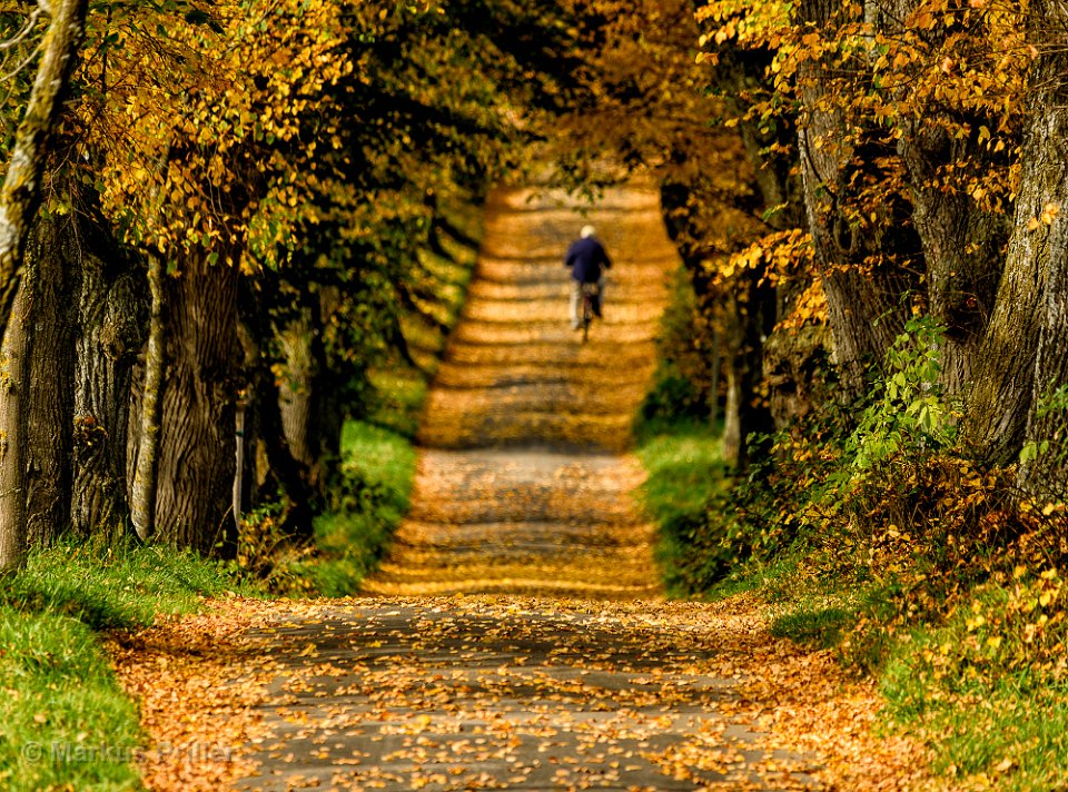 2013.10.26 123529 Herbst Rundfahrt Landsberg 2